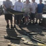 071218 Mahi | Fishing Report Ocean City Maryland