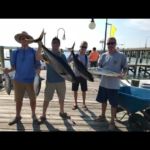 071618 Tuna | Fishing Report 3 OCMD
