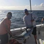 080318 Bluefin | Fishing Report