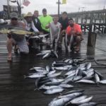 081118 Ocean City Fishing Report