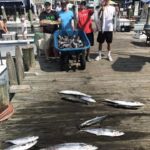 081618 Ocean City Fishing Report