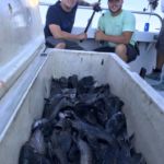 082418 Sea Bass Fishing Report 6
