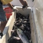 082518 Fishing Report OC 4