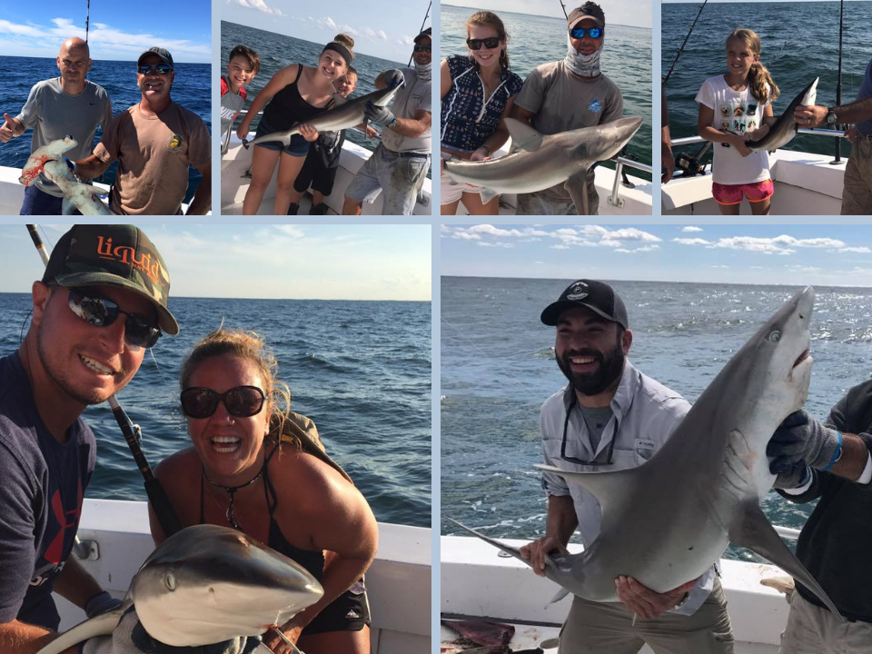 3 Hour Shark Trips Ocean City Maryland