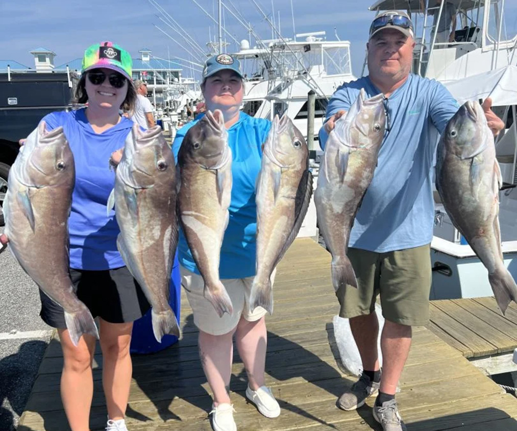 Three people stand on a dock holding large fish, part of a thrilling Fishing Charter Ocean City adventure. Two women in caps are on the left, and a man in a blue shirt is on the right. Boats are visible in the background on this sunny MD day.